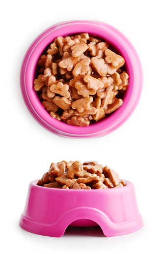 Wet cat food in pink bowl isolated on white, clipping path included