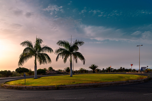 palm trees on the roundabout with the rising sun in the background.