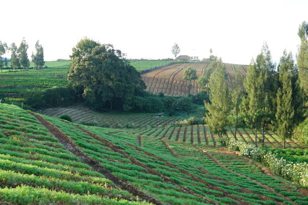 istock The beauty of Brakseng Hill 1711753356
