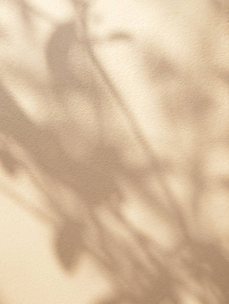 istock Leaves shadow and tree branch in warm autumn colors background. 1711772772