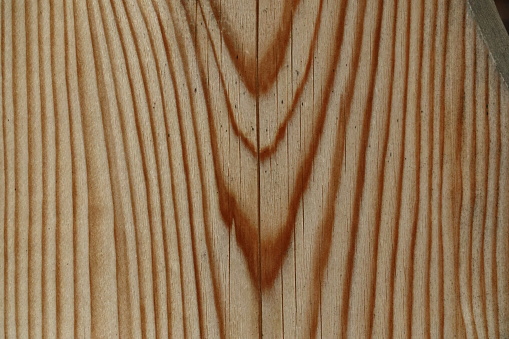 Wood, Wooden Board,\nTree rings