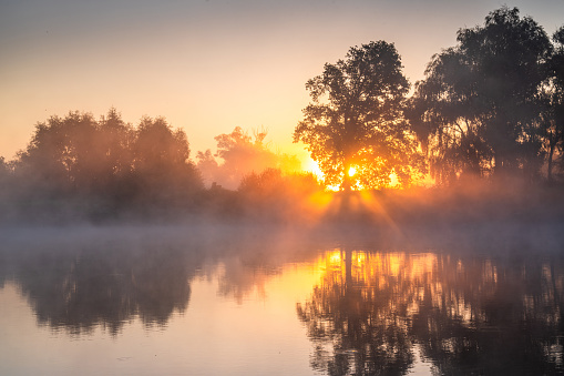 Sunrise on a foggy lake. The sun shines through a tree on the surface of the water. Calm morning on a forest lake in autumn. Picturesque autumn landscape.