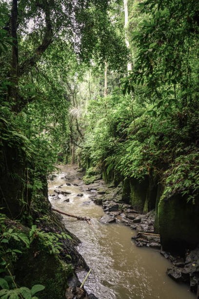 istock Small river near beautiful  Kanto Lampo Waterfall 1711826227