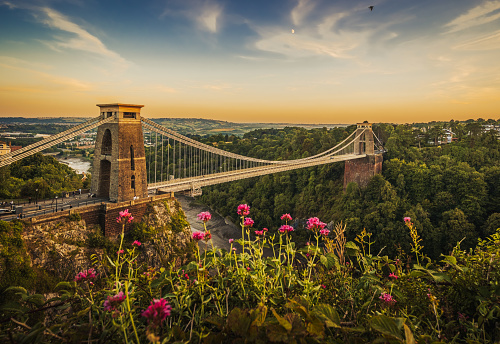 Beautiful view of  suspension bridge over a gorge  in summer; pink wildflowers in foreground and sunset sky with rising moon in background