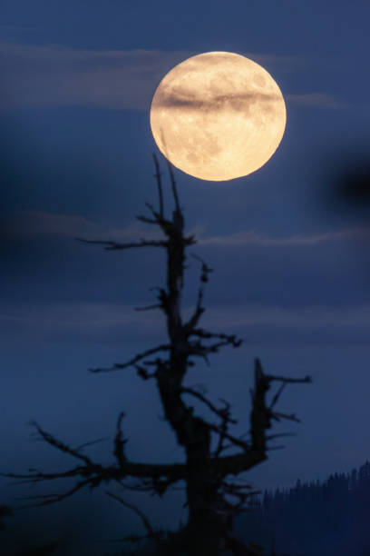 istock Hervest supermoon rising over the mountains 1711839633