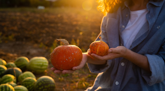 Woman farmer with pumpkins.