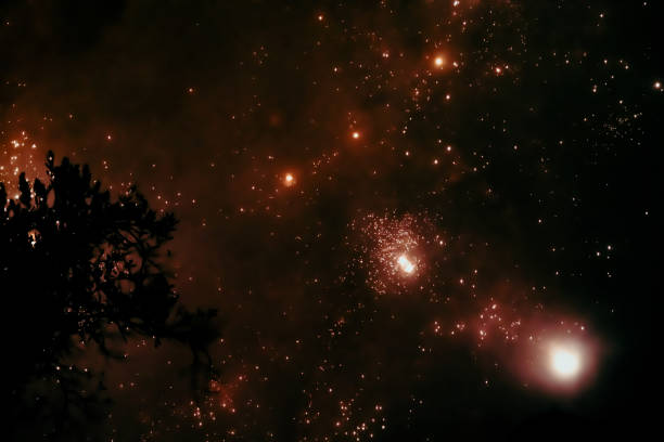 Night fireworks in the sky