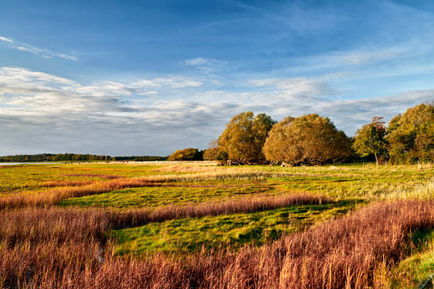 Beautiful autumn stock photo