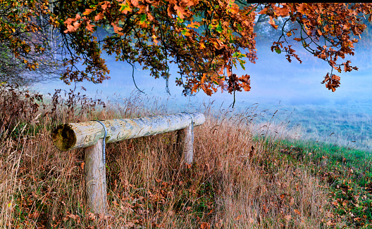 empty bench standing in an autumn park overlooking the field