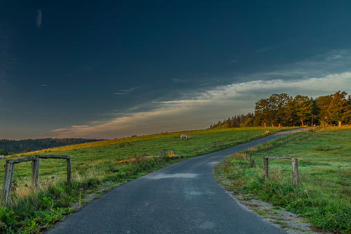 Autumn morning near Krasno village with color fresh fall meadows and trees