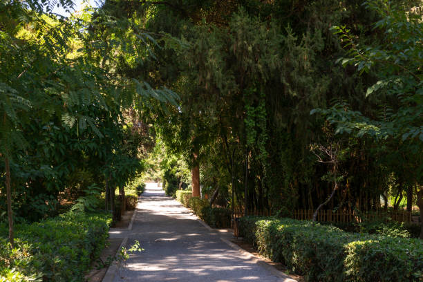 istock Rethymnon Municipal Garden 1711876195