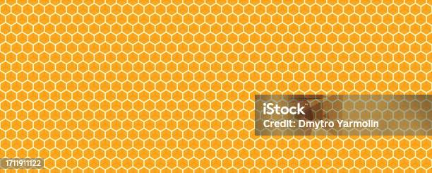 Honey Geometry Pattern Honeycomb Pattern Honey Background With Hexagon Geometry Stock ...