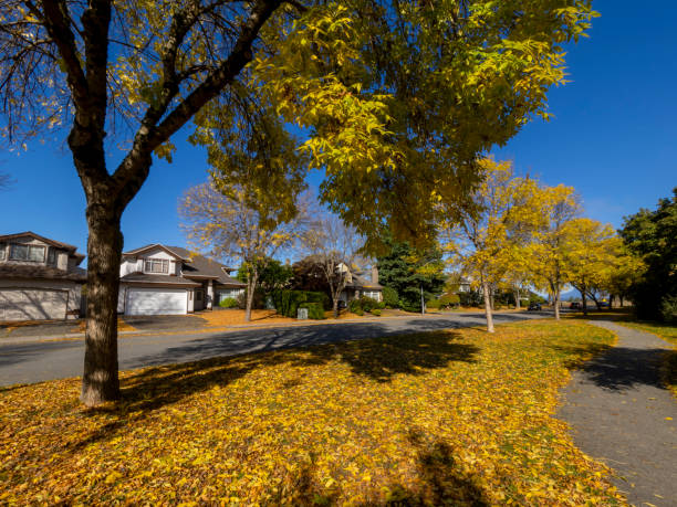 istock Early Autumn color 1711970287