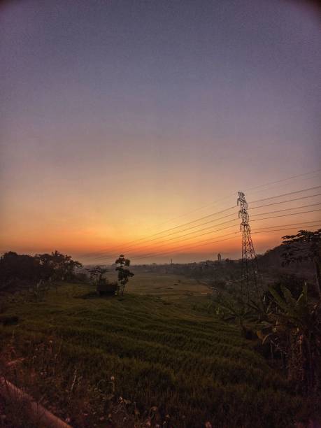istock Beautiful Rice Field Views in the morning 1711976753