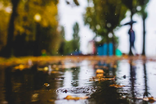 Autumn. Rainy weather