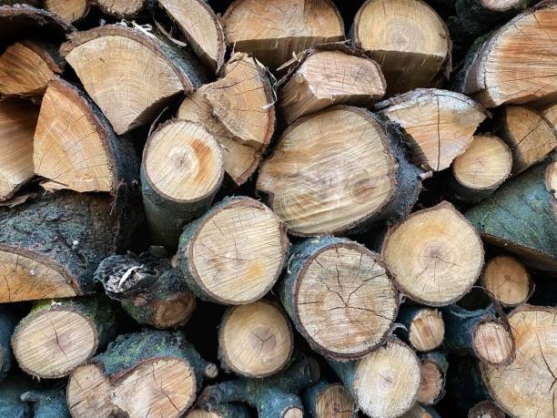 istock Stacked chopped firewood - background and texture 1712019684