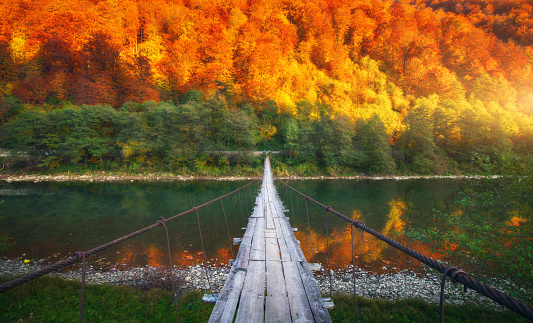 Wooden bridge over lake in mountains with red and orange trees at sunset in autumn. River in carpathian mountains in fall in Ukraine. Landscape with path, forest in the evening. Amazing natur. Trail