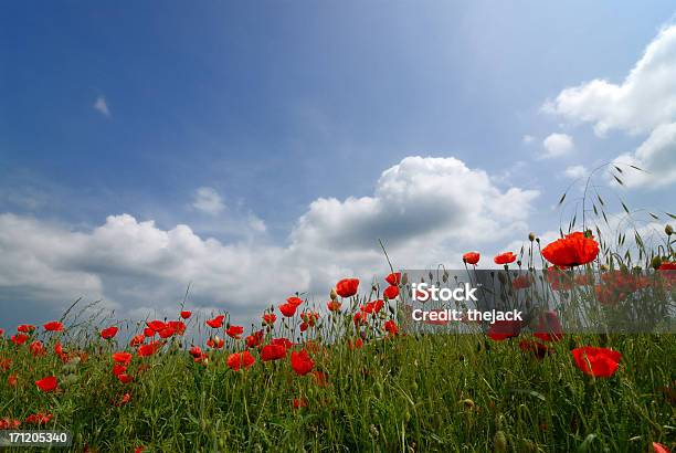 Poppy - zdjęcia stockowe i więcej obrazów Chmura - Chmura, Czas, Czerwony