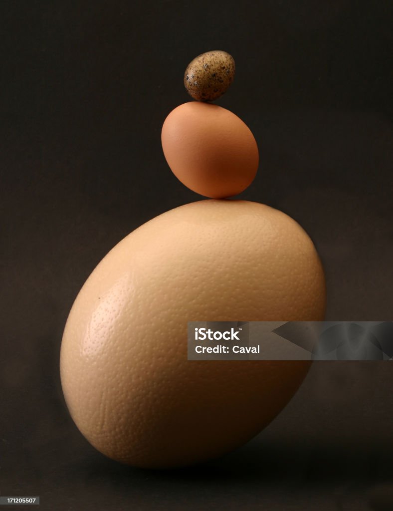 Balance 3 eggs differing in size, ostrich, hen and quail one standing on another, clearly depicting the delicate balance Animal Egg Stock Photo