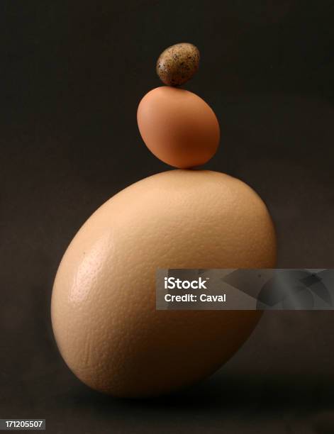 Balance Stock Photo - Download Image Now - Animal Egg, Tower, Animal
