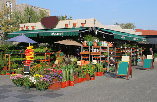 Public Flower Market in Montreal.