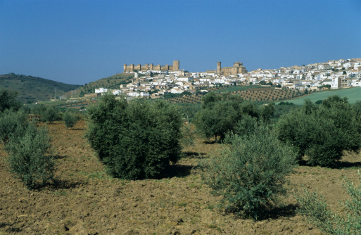 Olive groves in Spain. A typical white andalusian village with a fortress in the background.