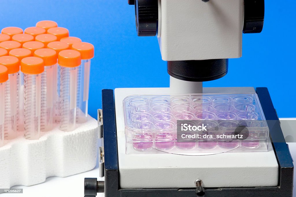 Células estaminais análise - Royalty-free Analisar Foto de stock