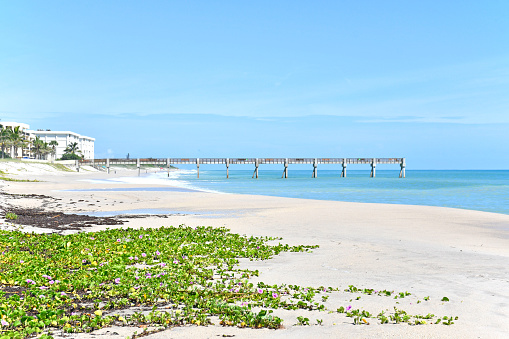 Vero Beach Pier on a beautiful, calm beach day on North Hutchinson Island Florida
