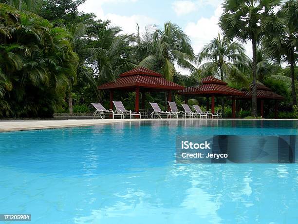 Swimming Pool 01 Stock Photo - Download Image Now - Installing, Swimming Pool, Aquatic Mammal
