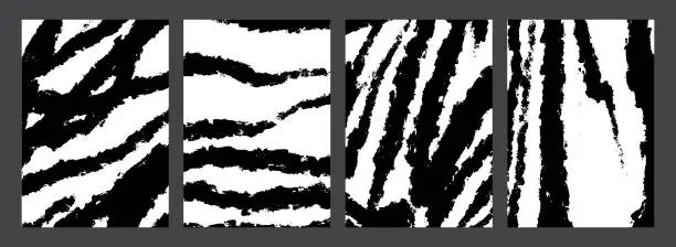 Vector illustration of Set of zebra textures. Animal skin patterns