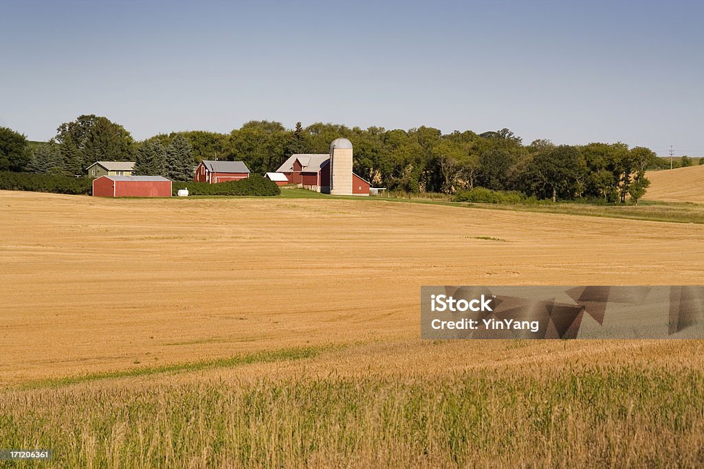 Campo Rural e Barns, Minnesota, EUA Midwest rurais Agrícolas, - Royalty-free Quinta Foto de stock