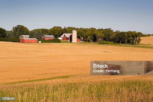 Campo Rural E Barns Minnesota Eua Midwest Rurais Agrícolas - Fotografias de stock e mais imagens de Quinta