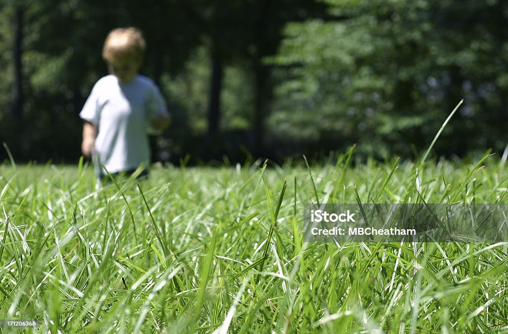 Dziecko chodzenia w trawie - Zbiór zdjęć royalty-free (Dziecko)