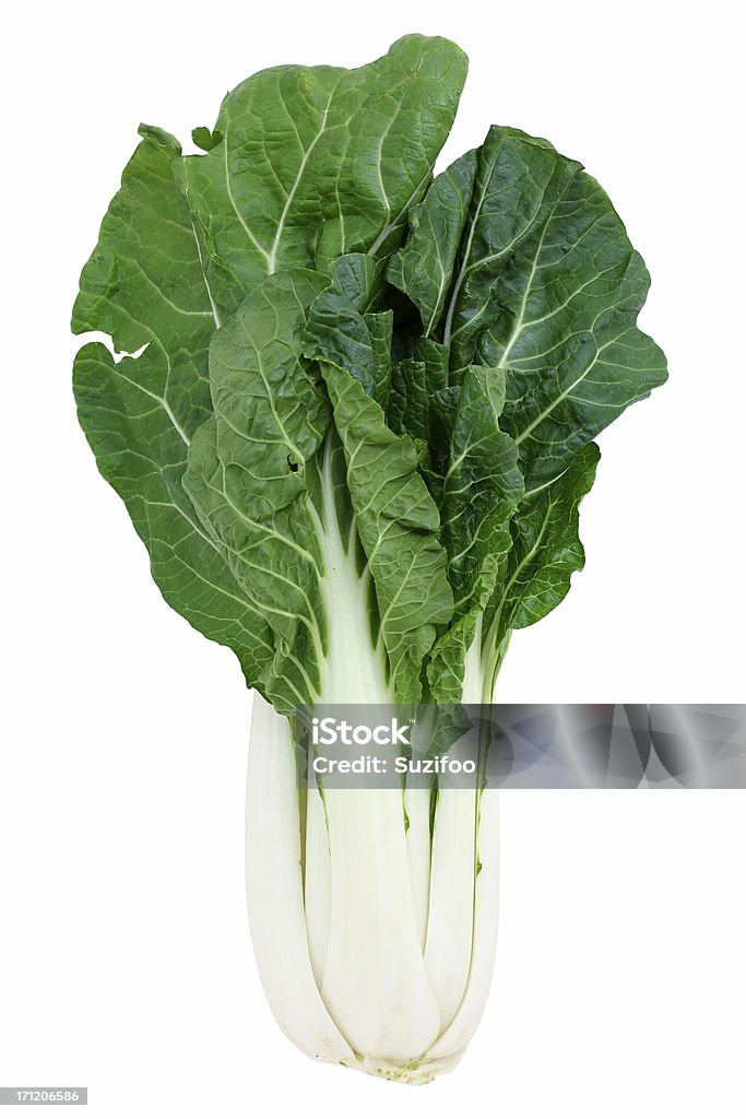 bok choy - Lizenzfrei Chinesischer Senfkohl Stock-Foto