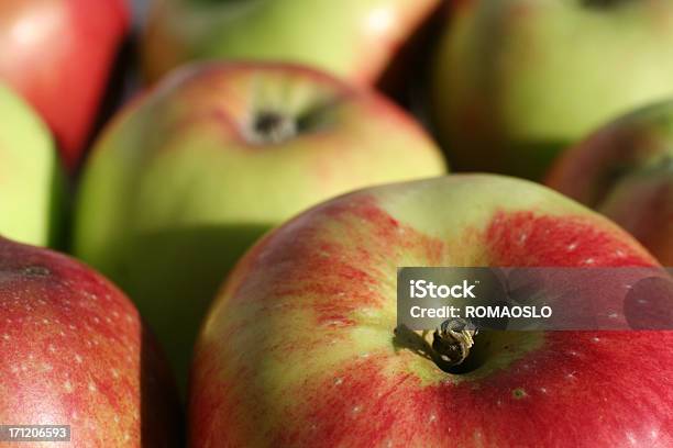 Closeup Of Apples In Oslo Stock Photo - Download Image Now - Abstract, Apple - Fruit, Autumn