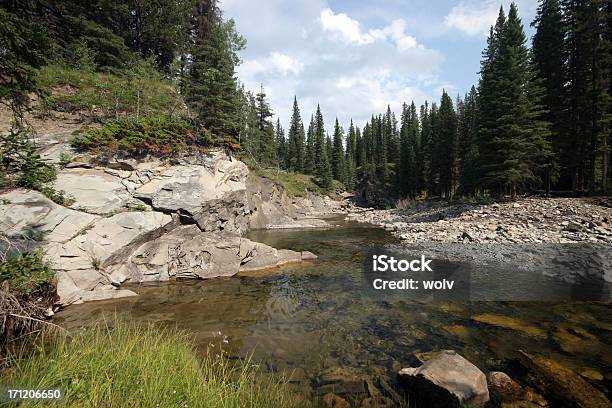 Photo libre de droit de Torrent De La Montagne Sériedeux banque d'images et plus d'images libres de droit de Alberta - Alberta, Arbre, Arbre à feuilles persistantes