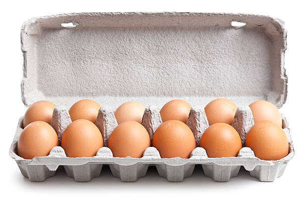 Egg Carton Isolated + Clipping Path Put your message inside the carton lid! carton stock pictures, royalty-free photos & images