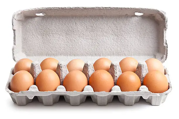 Photo of Egg Carton Isolated + Clipping Path