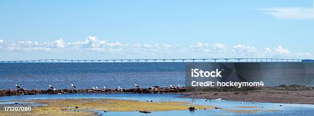 Pei Confedereration Ponte Grande Angular - Fotografias de stock e mais imagens de Areia - Areia, Azul, Baixo