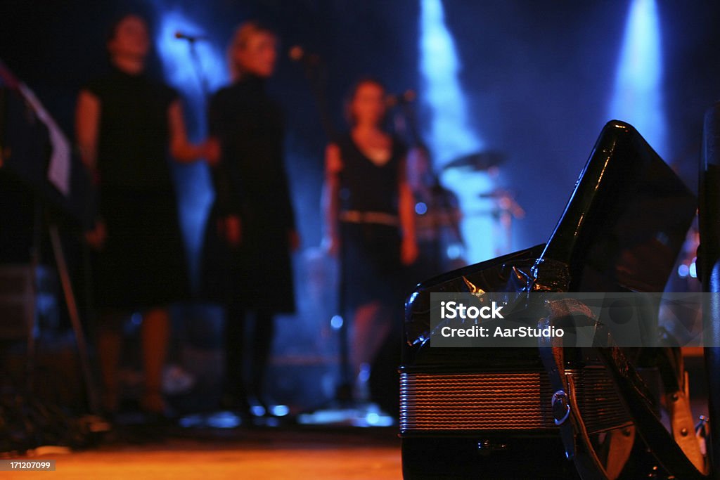 Acordeão no palco - Foto de stock de Jazz - Estilo Musical royalty-free