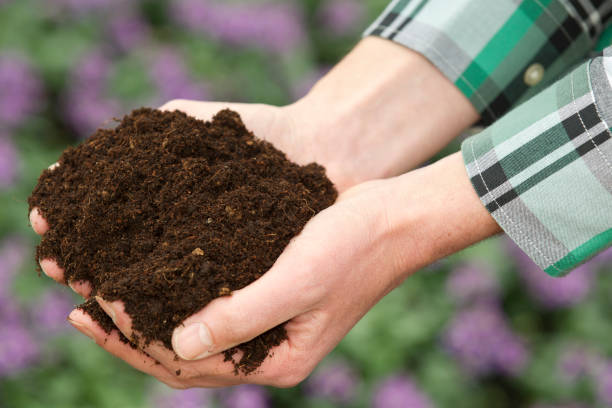 istock Hands holding flower soil against potted plants 171208666