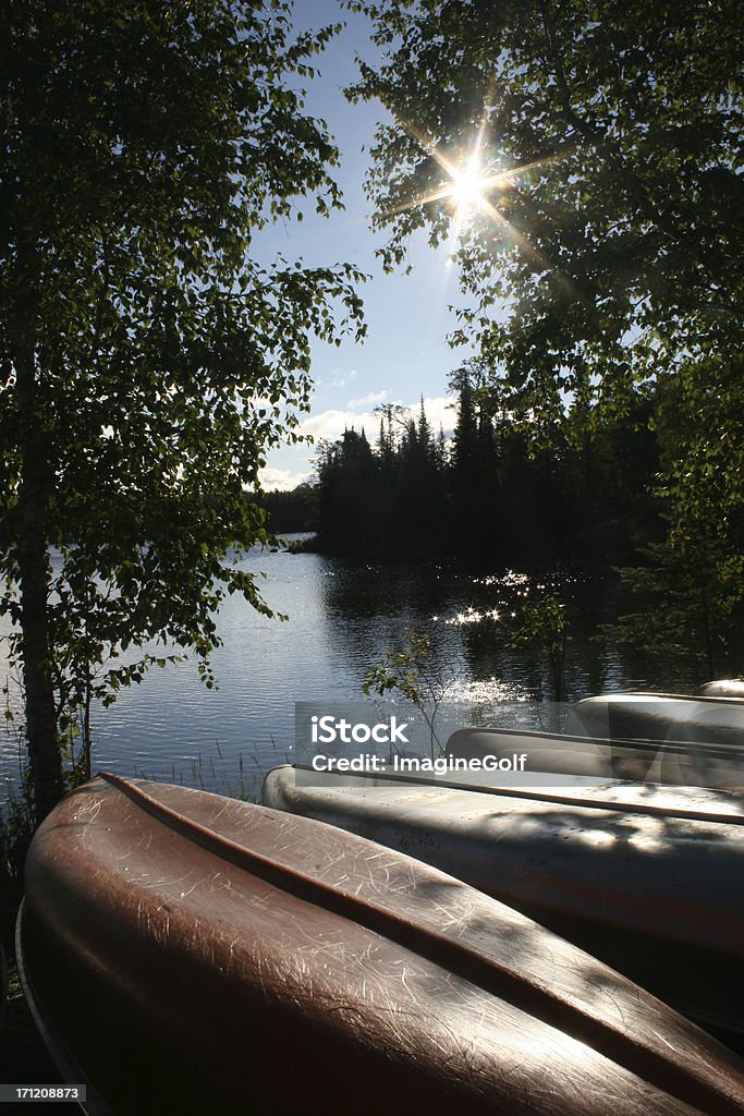 Kajaki na brzegu jeziora, światło słoneczne przechodzących przez drzewa - Zbiór zdjęć royalty-free (Bez ludzi)