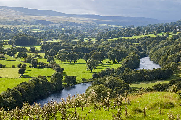 Weardale Green fields in Weardale, County Durham, UK - immediately before heavy rain calm before the storm photos stock pictures, royalty-free photos & images