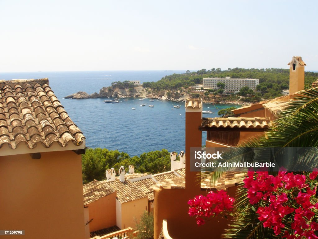 Blick auf Mallorca - Lizenzfrei Blume Stock-Foto