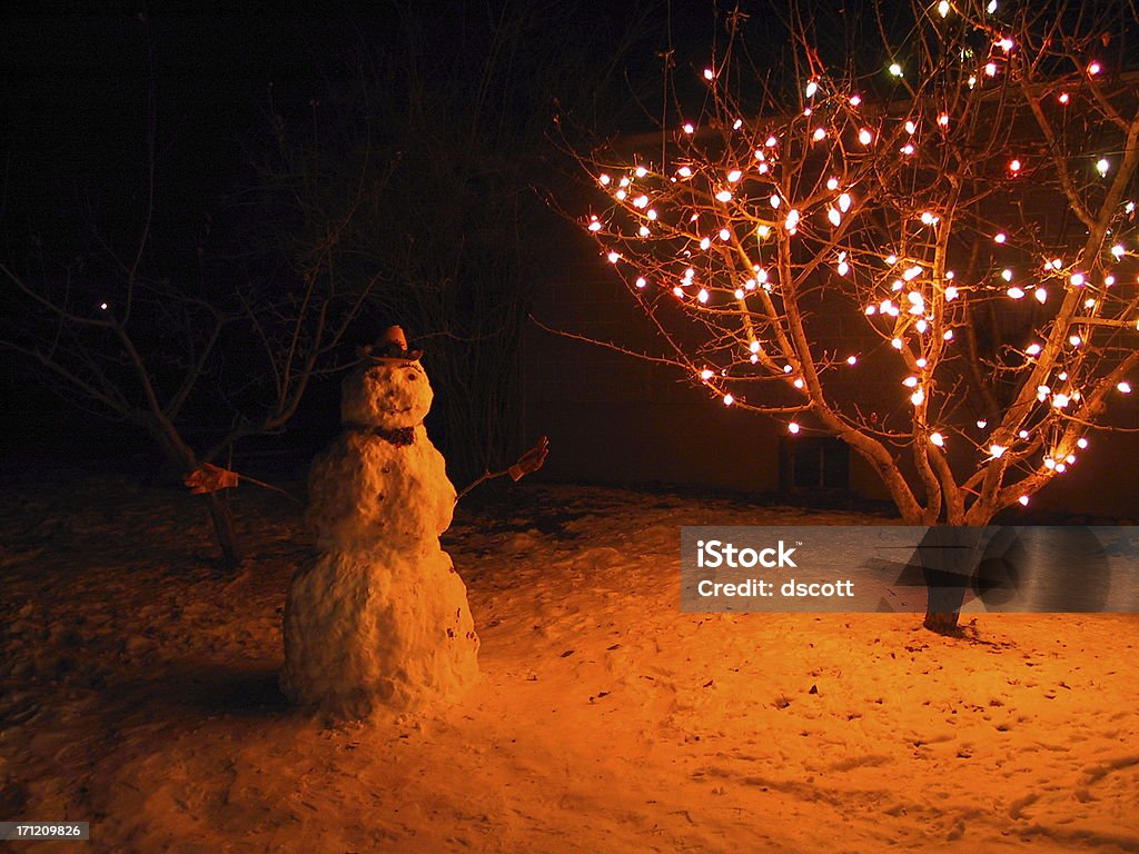 Weihnachten Schneemann - Lizenzfrei Nacht Stock-Foto