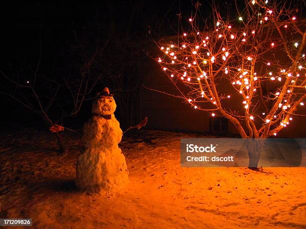 クリスマスのスノーマン - 夜のストックフォトや画像を多数ご用意 - 夜, 雪だるま, イルミネーション