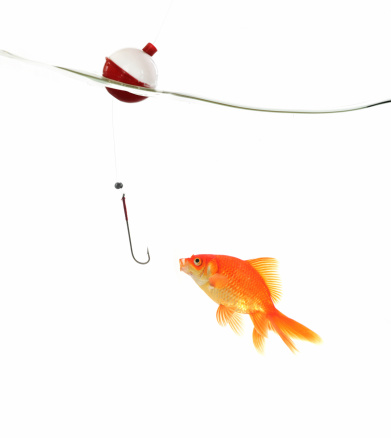 Fishing line and goldfish. http://www.lisegagne.com/images/conceptual.jpg