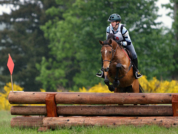 Horse & Rider Navigating Stacked Log Jump "This horse and rider are navigating a log jump on a 3-day eventing, cross country jump course.It is raining and the course is water soaked. You can see the rain coming down as well as rain drops on the riders helmet and breeches.You can also see where the horse has kicked up dirt/mud as they jumped." horse jumping front stock pictures, royalty-free photos & images