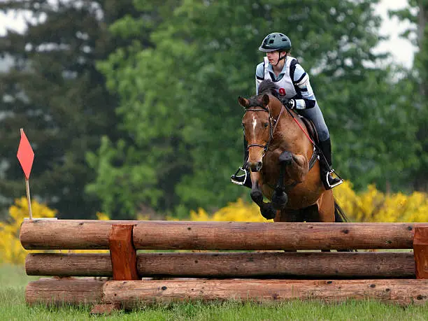 "This horse and rider are navigating a log jump on a 3-day eventing, cross country jump course.It is raining and the course is water soaked. You can see the rain coming down as well as rain drops on the riders helmet and breeches.You can also see where the horse has kicked up dirt/mud as they jumped."