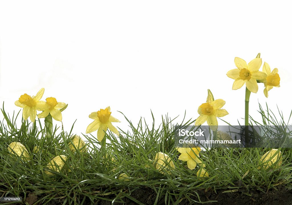 Decoración de pascua - Foto de stock de Amarillo - Color libre de derechos